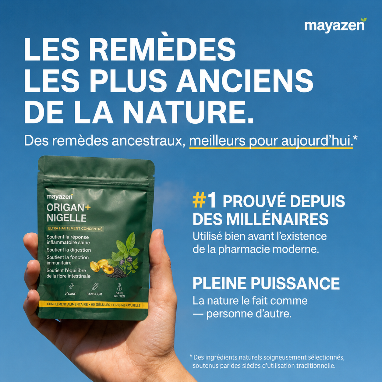 MAYAZEN Origan+ – Défense quotidienne de l’intestin et du système immunitaire