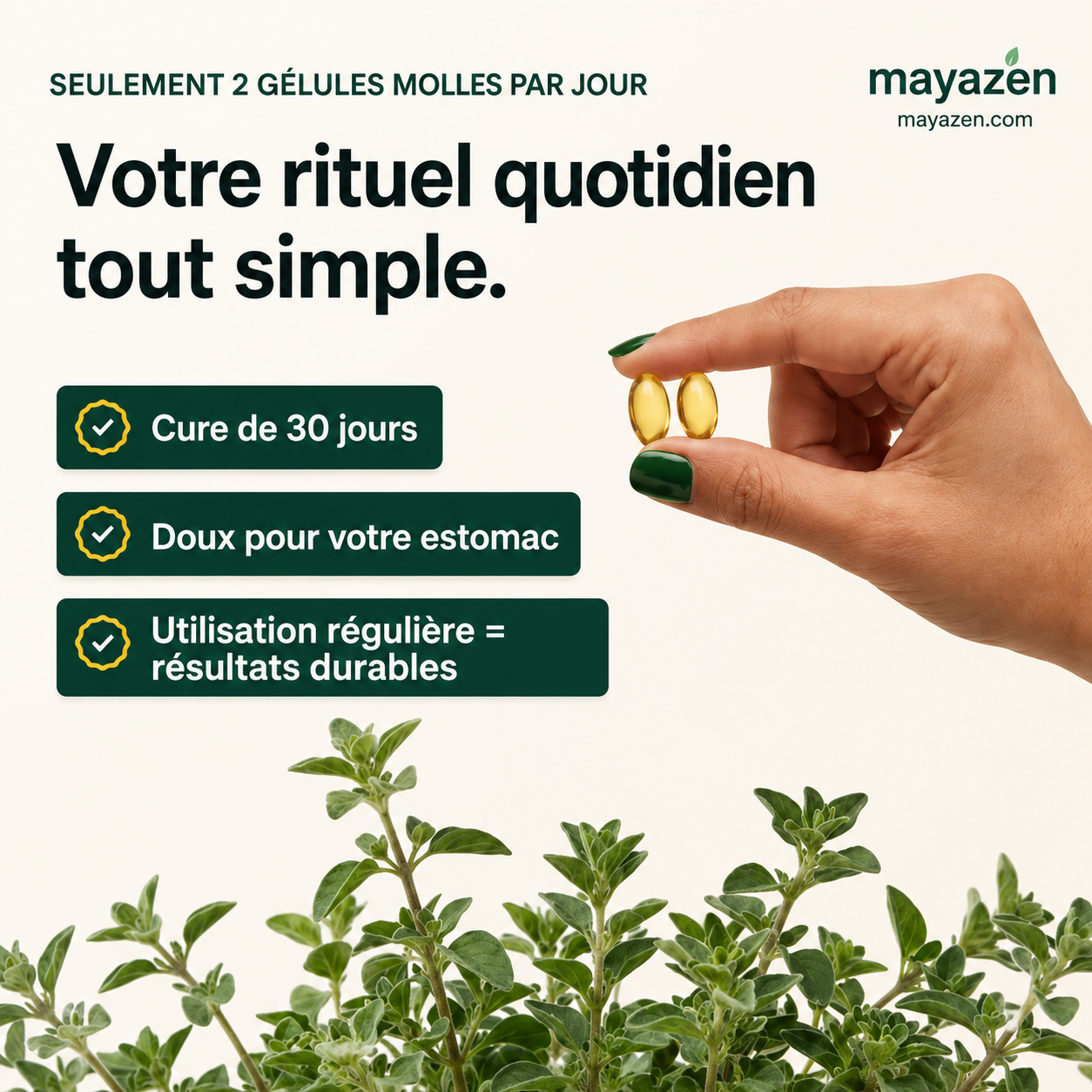 MAYAZEN Origan+ – Défense quotidienne de l’intestin et du système immunitaire