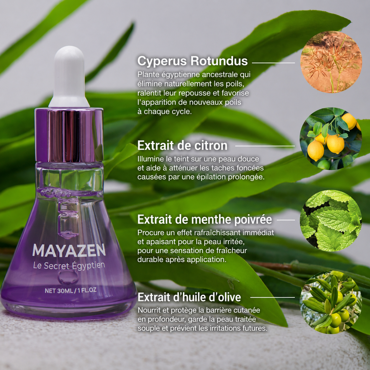 MAYAZEN - Sérum Egyptien pour la peau